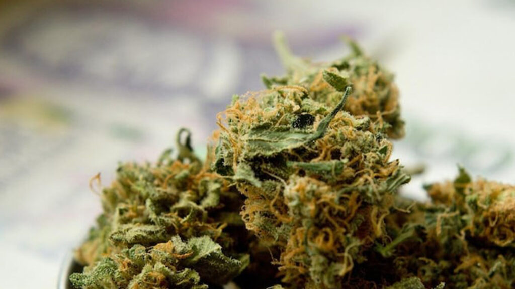 Ganja