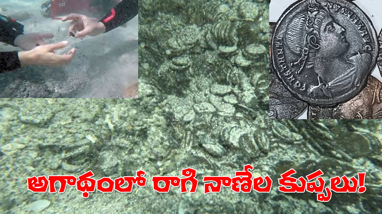 Fourth Century Roman Bronze Coins | నాలుగో శతాబ్దం నాటి 50వేల పురాతన నాణేల నిధిని వెలికి తీసిన డైవర్! Fourth Century Roman Bronze Coins | నాలుగో శతాబ్దం నాటి 50వేల పురాతన నాణేల నిధిని వెలికి తీసిన డైవర్!