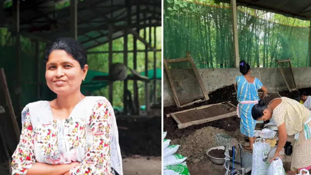 Vermicompost | కాసుల వర్షం కురిపిస్తున్న వర్మికంపోస్ట్.. నెలకు రూ. 7 లక్షలు సంపాదిస్తున్న వితంతువు Vermicompost | కాసుల వర్షం కురిపిస్తున్న వర్మికంపోస్ట్.. నెలకు రూ. 7 లక్షలు సంపాదిస్తున్న వితంతువు