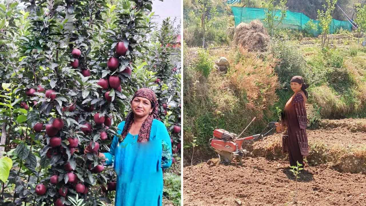 Natural Farming | 4 ఎక‌రాల్లో ప్ర‌కృతి వ్య‌వ‌సాయం.. ఏడాదికి రూ. 60 ల‌క్ష‌లు సంపాదిస్తున్న మ‌హిళా రైతు