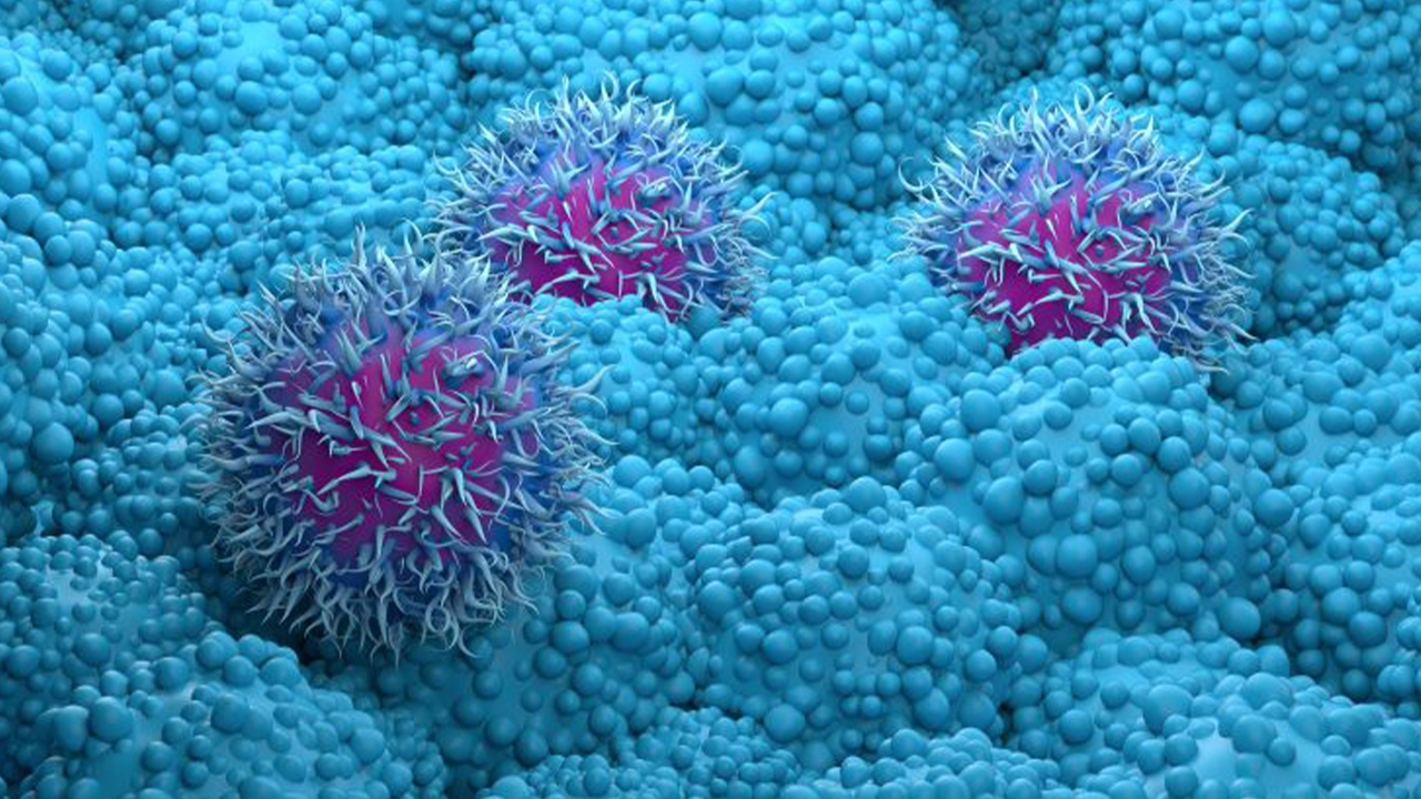 new-protein-spp1-prevents-pancreatic-cancer-research-icr-london