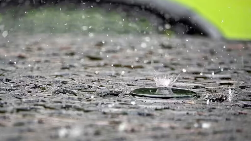 petrichor-smell-after-rain-geosmin-actinomycetes-science-explained
