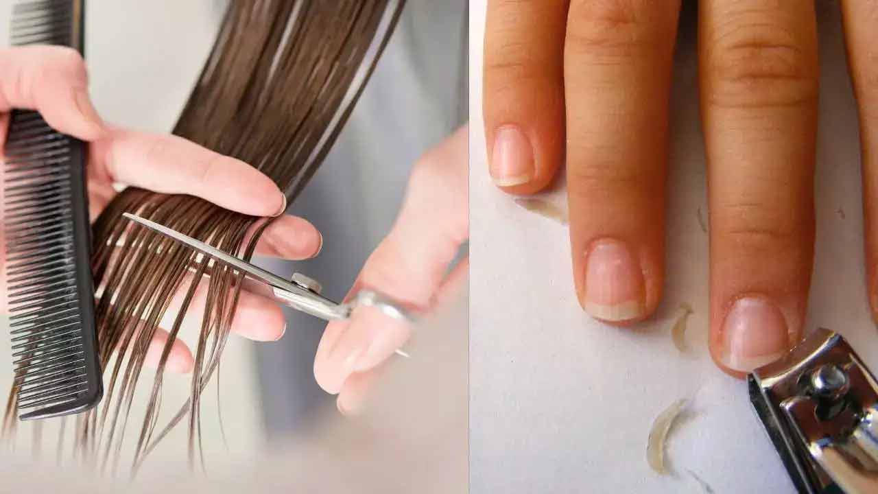 Hair Cutting | గురువారం గోర్లు, జుట్టు కత్తిరించుకుంటే శుభమా..? అశుభమా..? Hair Cutting | గురువారం గోర్లు, జుట్టు కత్తిరించుకుంటే శుభమా..? అశుభమా..?