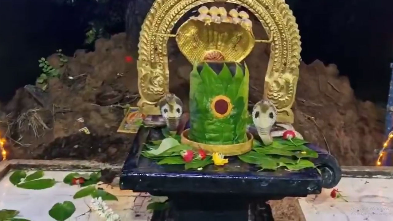 Cobras Dance On Shiva Lingam : నాగుల చవితి రోజు అద్భుతం..శివలింగంపై నాగరాజులు Cobras Dance On Shiva Lingam : నాగుల చవితి రోజు అద్భుతం..శివలింగంపై నాగరాజులు
