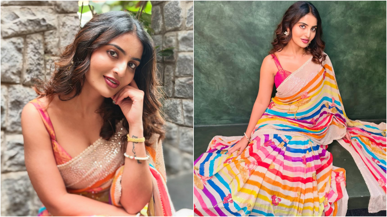Ananya Nagalla | మల్టీ కలర్ శారీలో వరంగల్ భామ వయ్యలు.. డోంట్ మిస్ ఇట్