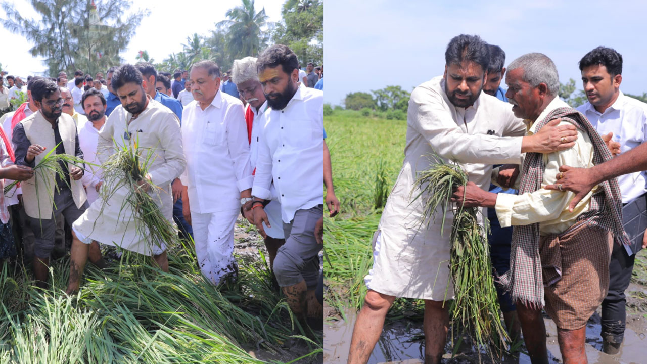 AP Deputy CM Pawan Kalyan