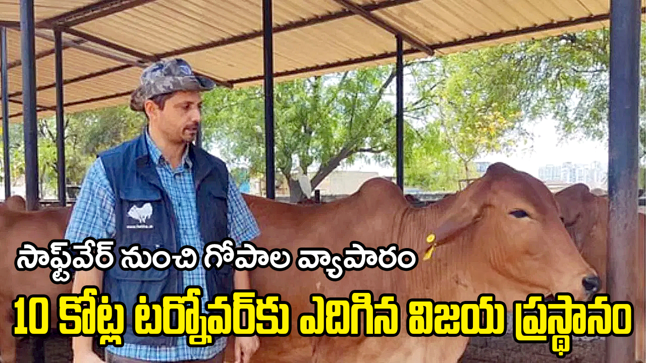 Success Story | సాఫ్ట్వేర్ నుంచి గోపాల వ్యాపారం : 10 కోట్ల టర్నోవర్కు ఎదిగిన విజయ ప్రస్థానం Success Story | సాఫ్ట్వేర్ నుంచి గోపాల వ్యాపారం : 10 కోట్ల టర్నోవర్కు ఎదిగిన విజయ ప్రస్థానం