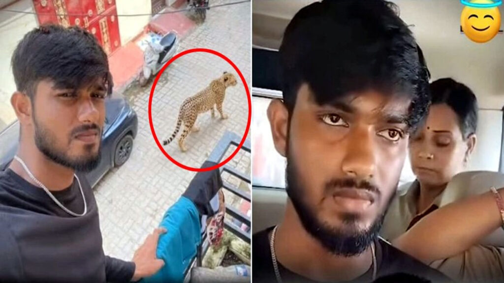 In Up man generated a fake leopard photo by using ai