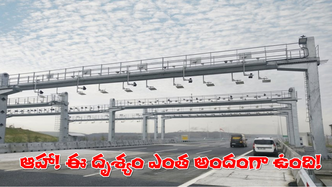 Toll Free Highways | దేశంలో మరో 25 టోల్ గేట్లు లేని ప్లాజాలు Toll Free Highways | దేశంలో మరో 25 టోల్ గేట్లు లేని ప్లాజాలు