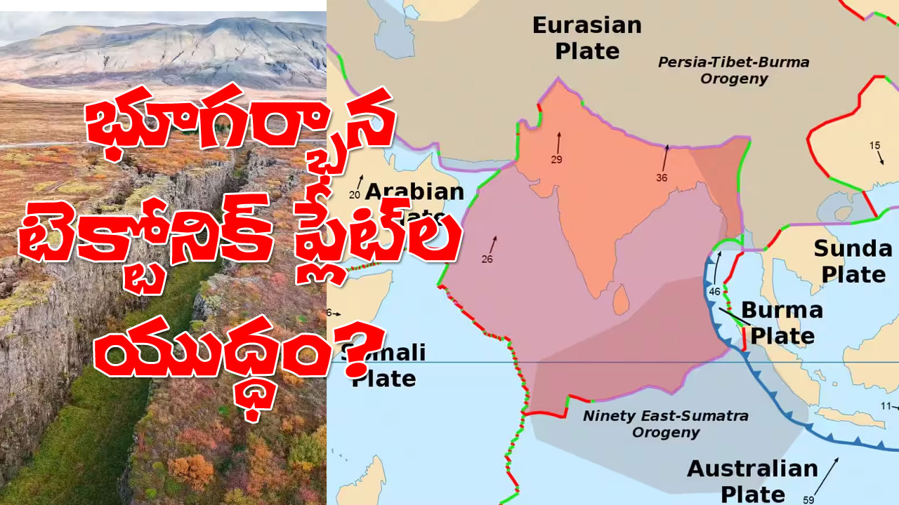 Indian Tectonic Plate representational image