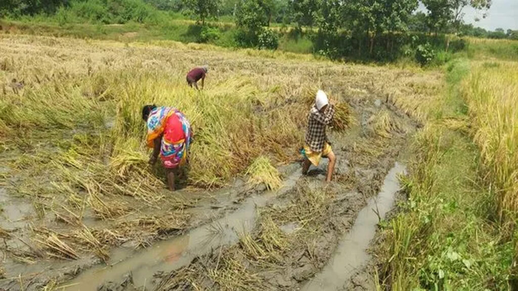 Nalgonda farmers protest over paddy procurement