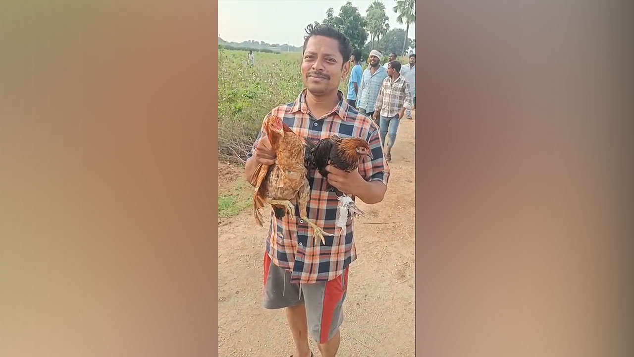 Hanamkonda : కోళ్ళు…కోళ్ళూ ఊరంతా కొక్కురోకో