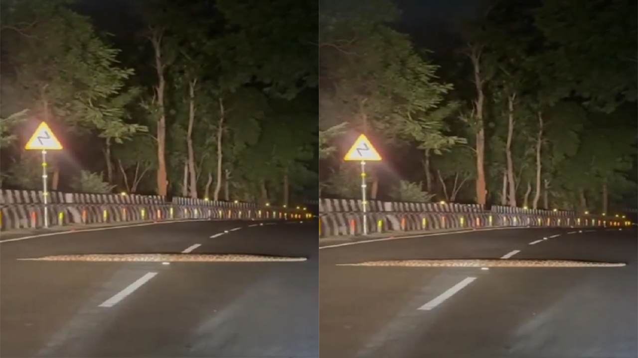 తిరుమల రెండో ఘాట్ లో పెద్ద కొండచిలువ కలకలం Tirumala