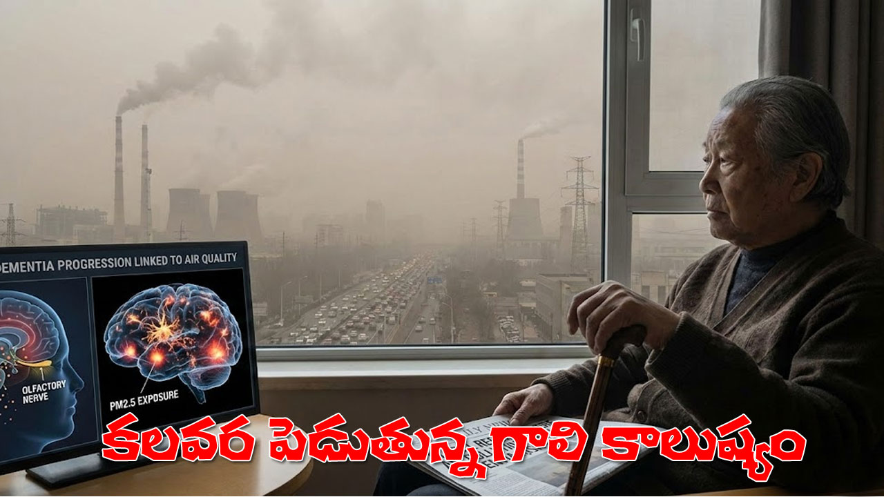 PM2.5 health impact AI created Image