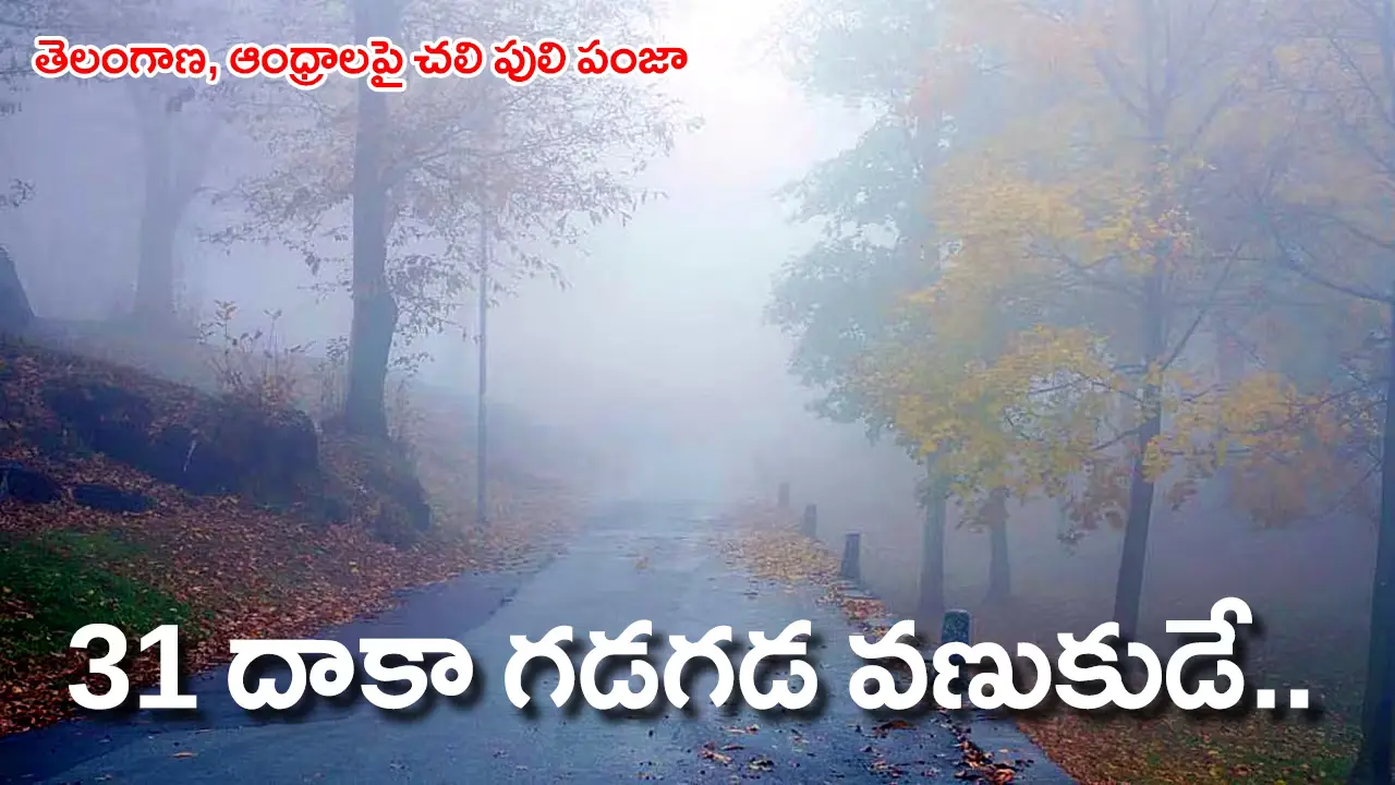 Winter Chill  |  తెలంగాణ, ఆంధ్రప్రదేశ్‌లపై చలి పులి పంజా : డిసెంబర్ 31 వరకు వణుకుడే – ఐఎండీ వెల్లడి