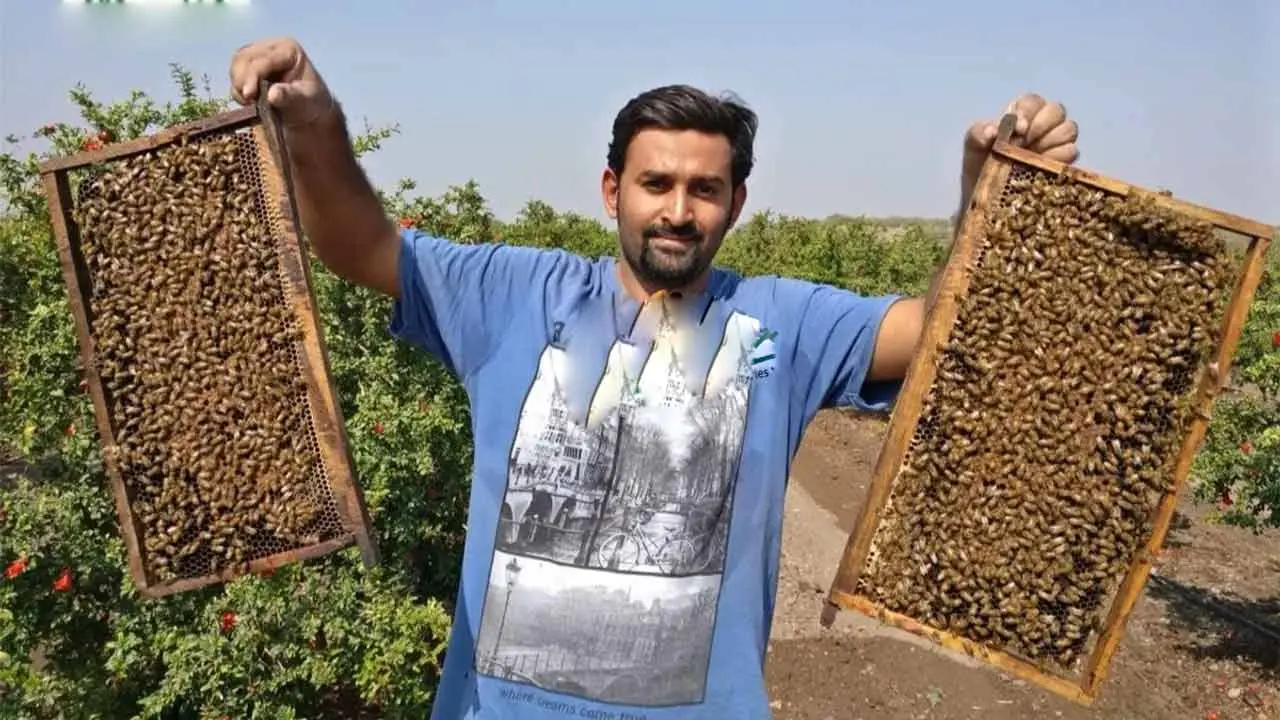 Apiculture | తేనెటీగ‌ల పెంప‌కంతో ఏడాదికి రూ. 40 ల‌క్ష‌ల సంపాద‌న‌..!