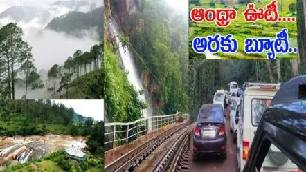 Araku Valley| అరకు లోయలో పర్యాటకుల తాకిడి..మీరు వెళ్లండి!