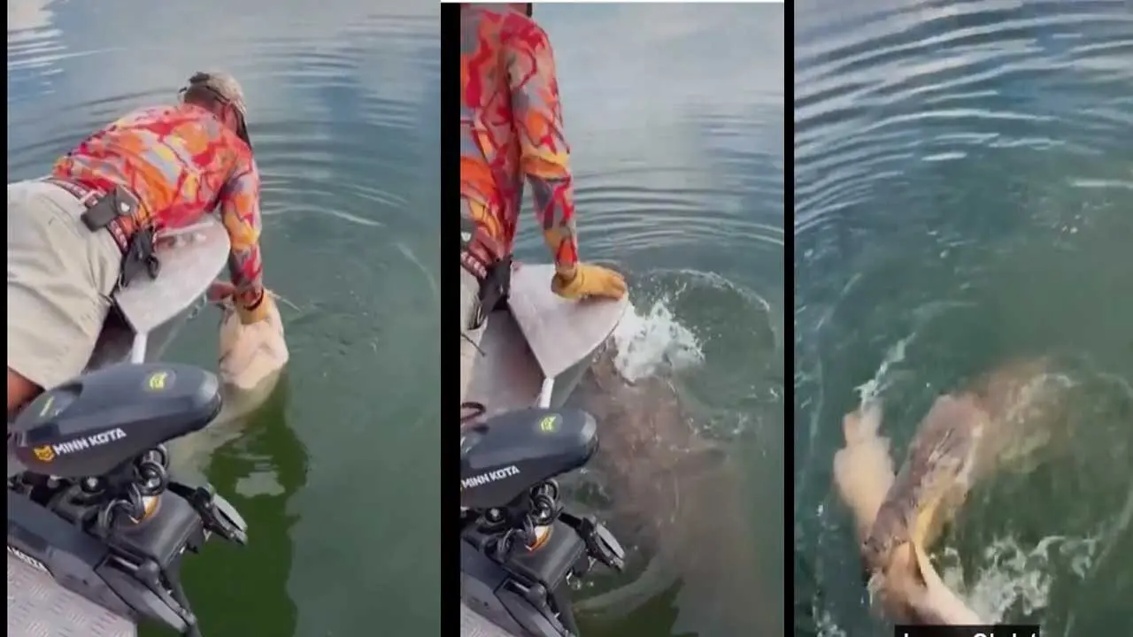 Crocodile attack| షాకింగ్..తృటిలో మొసలి చేతిలో చావు తప్పింది!