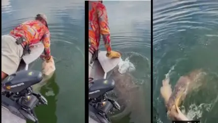 Crocodile attack| షాకింగ్..తృటిలో మొసలి చేతిలో చావు తప్పింది!