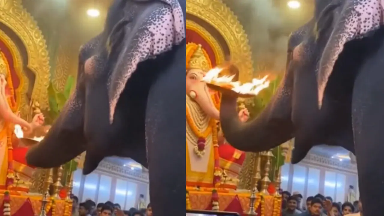 Elephant Performing Aarti To Ganesha : గణేషుడి విగ్రహానికి ఏనుగు హారతి..వైరల్ వీడియో