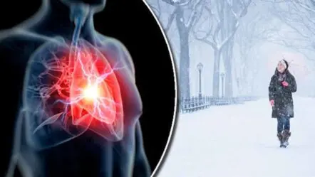 Health Tips | చ‌ల్ల‌ని గాలులు.. ‘గుండె’కు ముప్పేన‌ట‌..! జ‌ర జాగ్ర‌త్త‌..!!