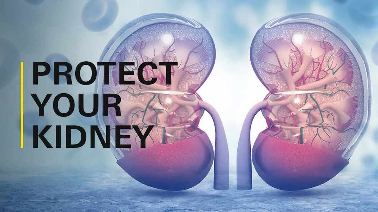 Kidney Health | చ‌లిగా ఉంద‌ని నీళ్లు త‌క్కువ తాగితే.. మూత్ర‌పిండాల‌కు ముప్పే..!