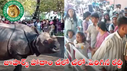 Nehru Zoological Park : జూపార్క్ పోదాం చలో చలో..పెరిగిన రద్దీ