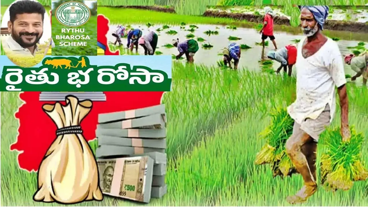 Raithu Bharosa payments| రైతుల ఖాతాల్లోకి “భరోసా” డబ్బులు..సంక్రాంతికే!