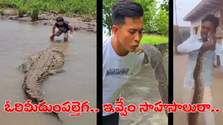 3 Viral Videos | టెన్షన్ ఫీట్స్..అడ్వంచర్స్ కాదు దుస్సాహసాలు!