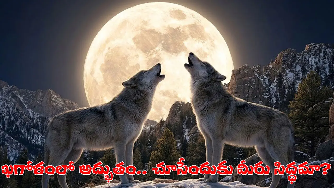 Wolf Supermoon | జనవరి 1, 4 తేదీల మధ్య ‘ఊల్ఫ్‌ మూన్‌’! కొత్త ఏడాదికి చందమామ ‘నిండైన’ స్వాగతం!
