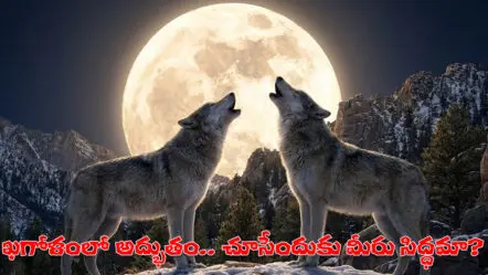 Wolf Supermoon | జనవరి 1, 4 తేదీల మధ్య ‘ఊల్ఫ్‌ మూన్‌’! కొత్త ఏడాదికి చందమామ ‘నిండైన’ స్వాగతం!