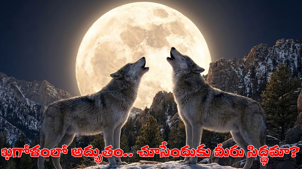 new year bringing extraordinary lunar event wolf supermoon AI Creation