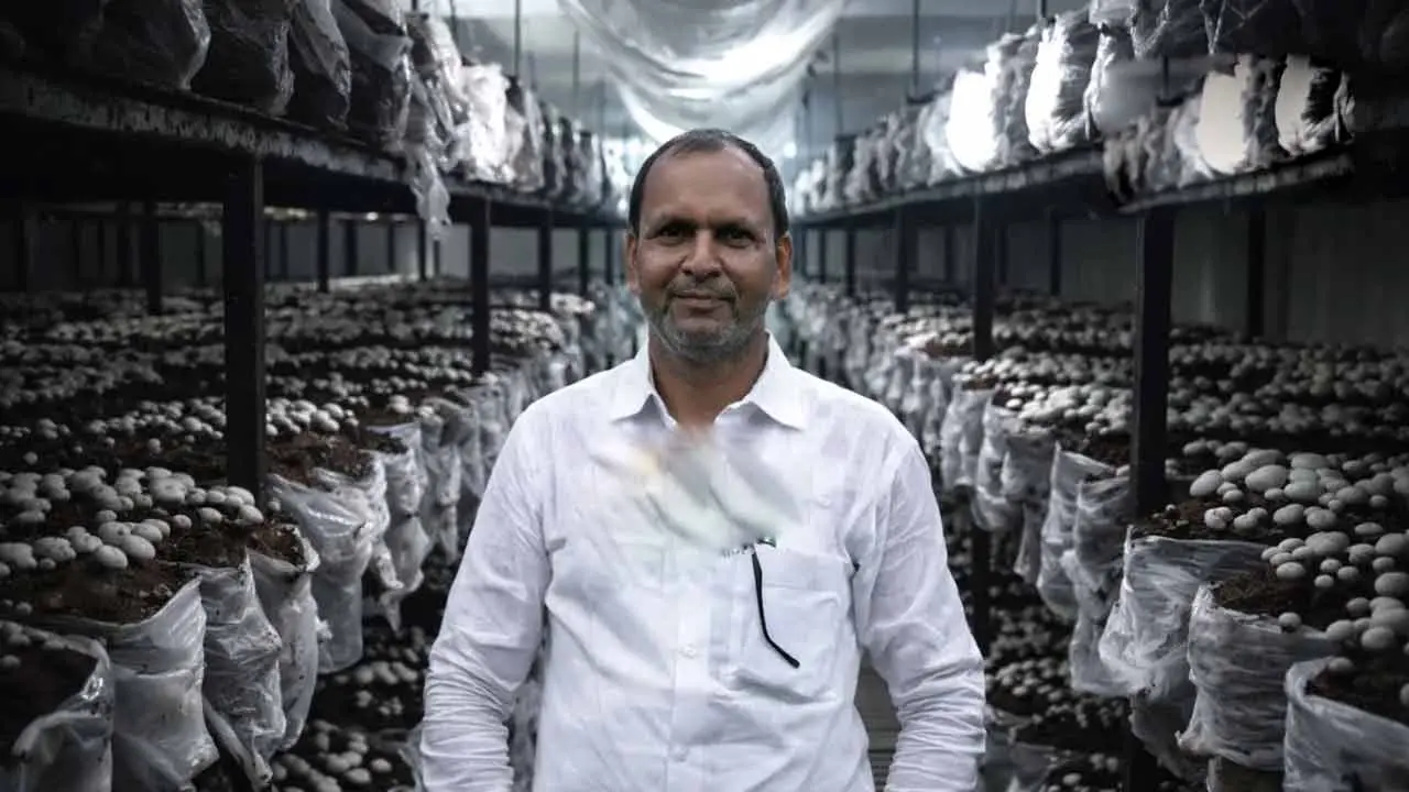 Mushroom Cultivation | పుట్ట‌గొడుగుల సాగుతో కోట్లు సంపాదిస్తున్న పొలిటికల్ సైన్స్ స్టూడెంట్