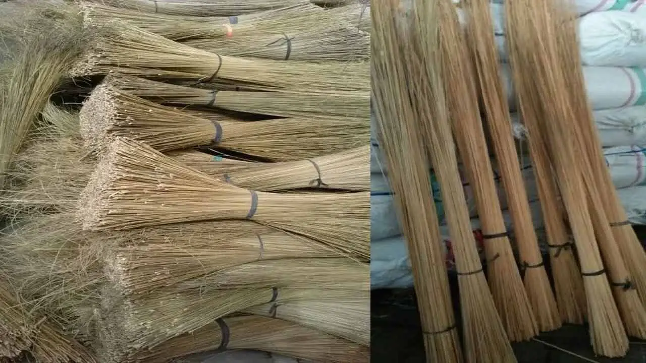 Vastu Tips for Broom | చీపురును నిల‌బెట్టారో.. ఇంట్లో నిప్పులే..! జ‌ర జాగ్ర‌త్త సుమా..!!