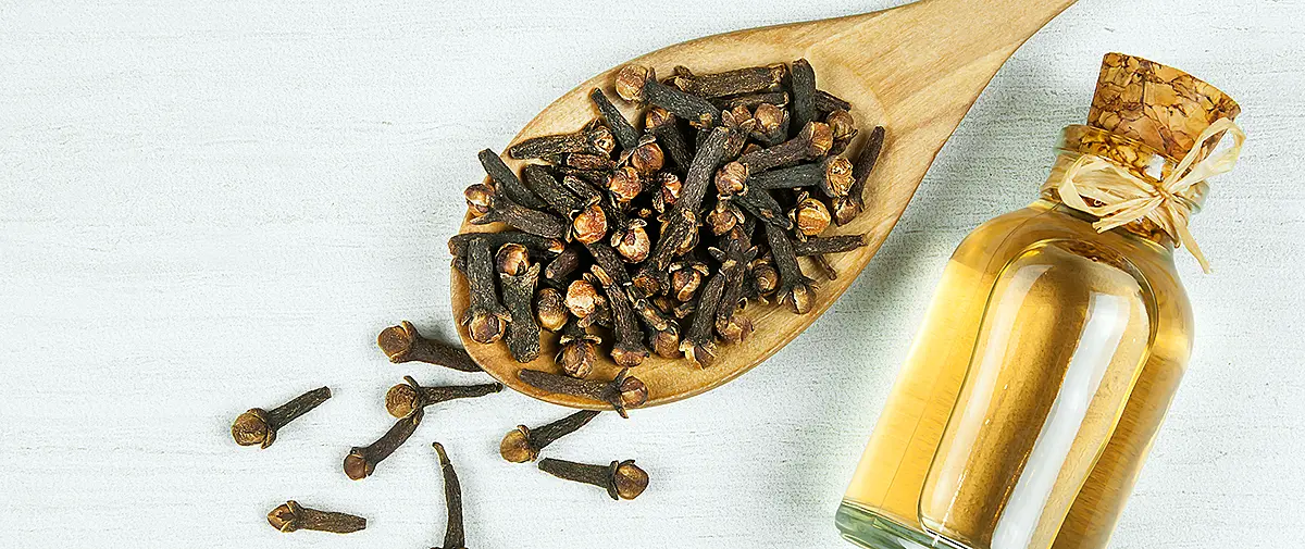 చెక్కచెంచాలో లవంగాలు మరియు పక్కన లవంగ నూనె సీసా – ఆరోగ్య ప్రయోజనాల కోసం ఉపయోగించే సహజ ఆయిల్