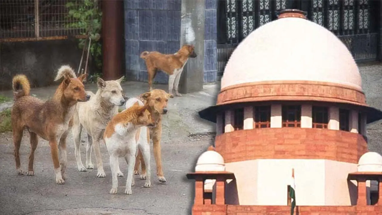 Stray Dog Bites : వీధి కుక్కల కేసులో సుప్రీం కోర్టు కీలక వ్యాఖ్యలు