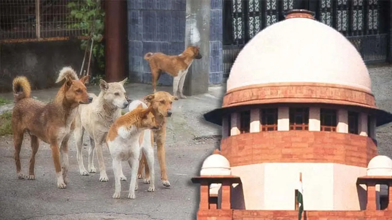 Stray Dog Bites : వీధి కుక్కల కేసులో సుప్రీం కోర్టు కీలక వ్యాఖ్యలు