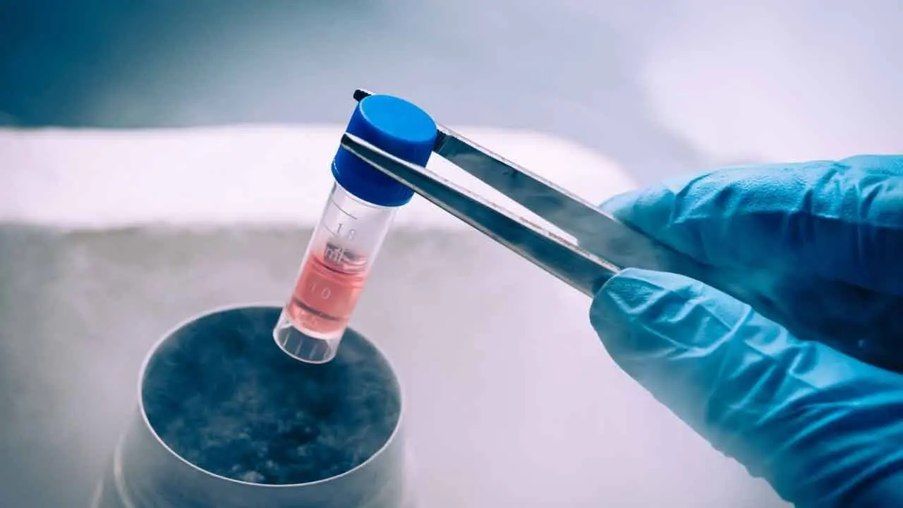 Egg Freezing | ఎగ్‌ ఫ్రీజింగ్‌ అంటే ఏంటి..? ఏ వయసులో చేస్తే మంచిది..?