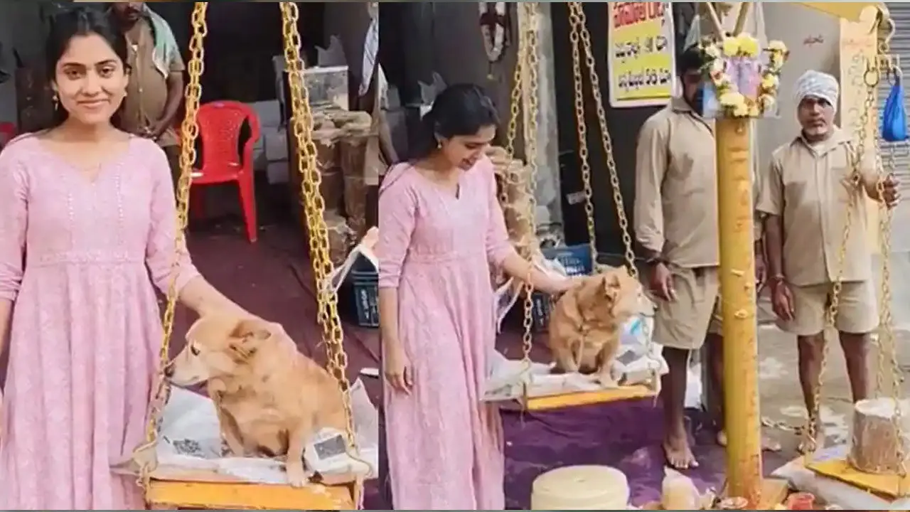 Actress | మేడారం జాతరలో తులాభారం వివాదం.. క్షమాపణలు చెప్పిన టాలీవుడ్ హీరోయిన్