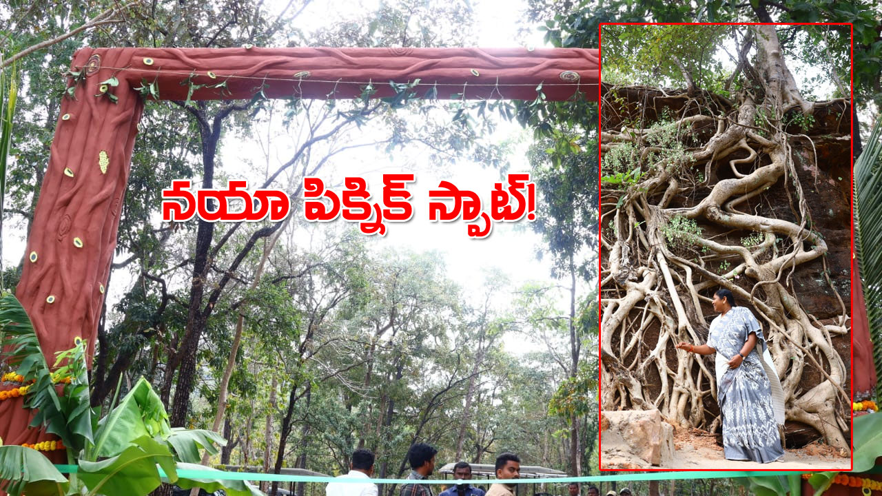 Mulugu Tourism : అడవి అందాల ఆరబోత….ఆకట్టుకుంటున్న జలగలంచ