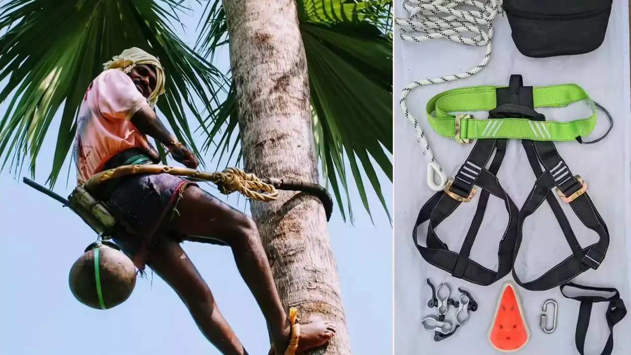 Katamayya Raksha Safety Kits : ‘కాటమయ్య రక్ష’ ఎక్కడ? .. గీత కార్మికుల ఆర్తనాదం !