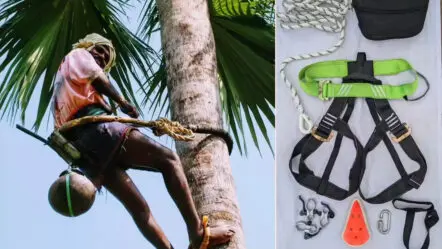 Katamayya Raksha Safety Kits : ‘కాటమయ్య రక్ష’ ఎక్కడ? .. గీత కార్మికుల ఆర్తనాదం !