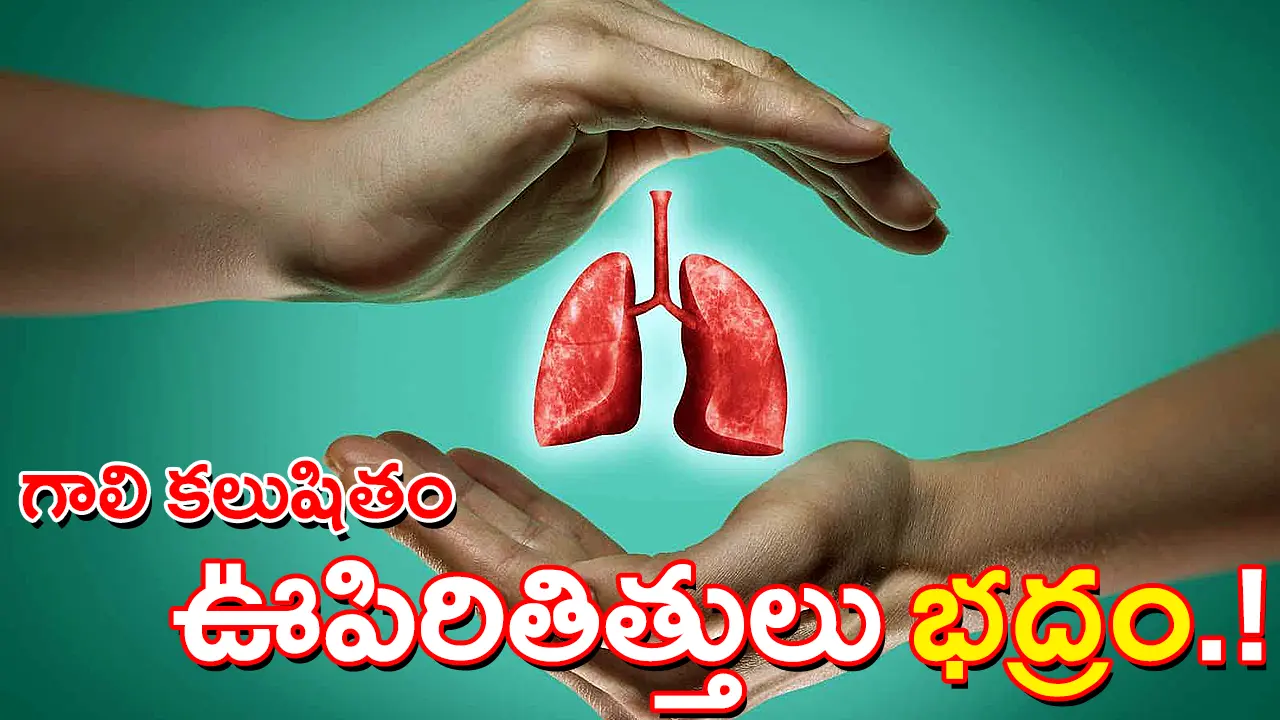 Illustration of human hands surrounding and protecting a pair of red lungs, symbolising lung health awareness and the impact of rising air pollution, with Telugu text in the graphic.