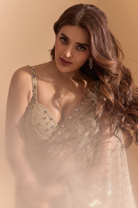 nidhi agarwal mind blowing look in saree