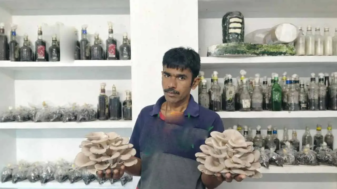 Mushroom Farming | పుట్ట‌గొడుగుల సాగుతో.. నెల‌కు రూ. 2 ల‌క్ష‌లు సంపాదిస్తున్న ఒడిశా రైతు