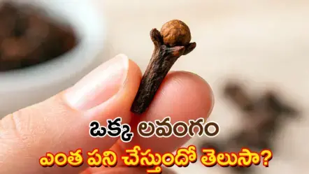 Clove at Night | రాత్రిపూట లవంగం నమలడం వల్ల కలిగే అపూర్వ ప్రయోజనాలు