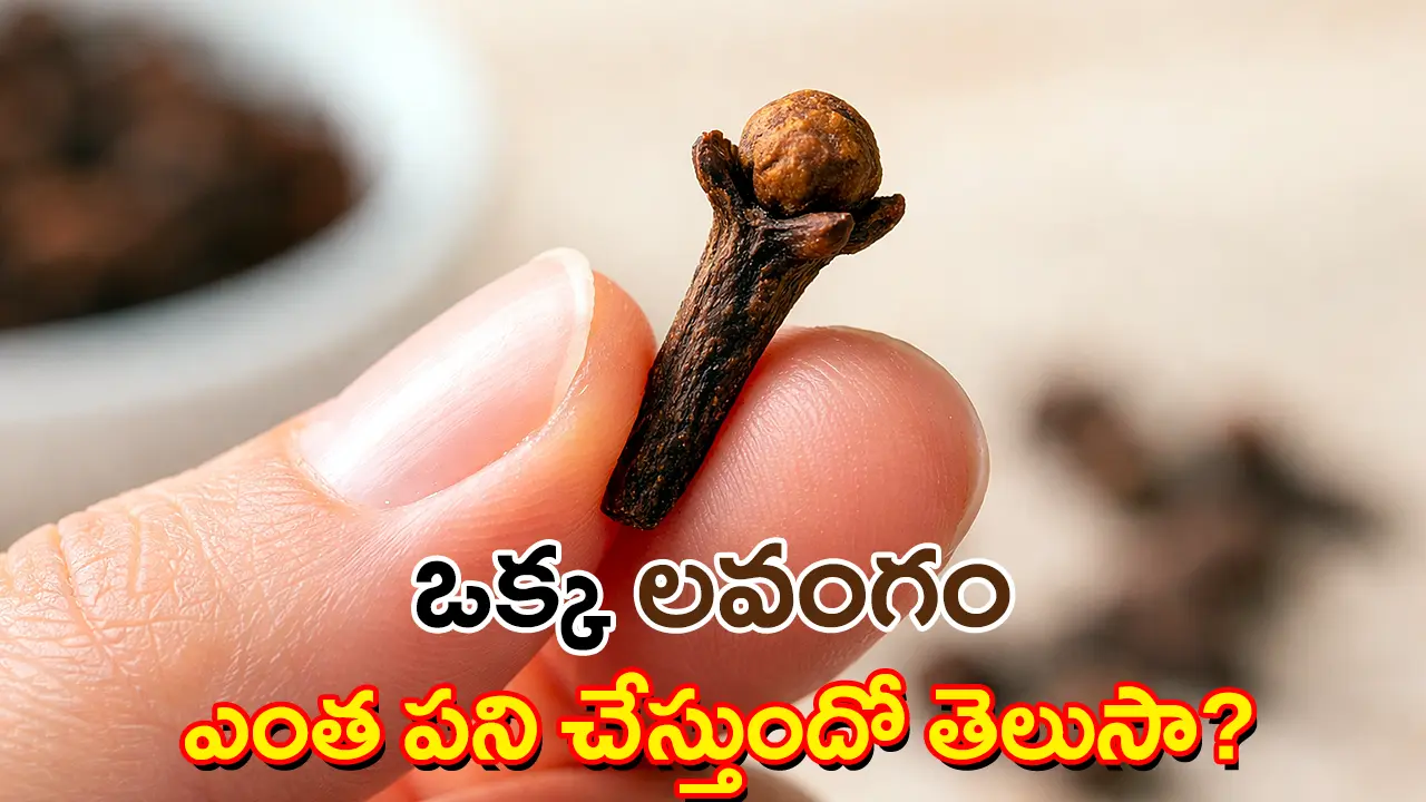 వేలు మధ్య పట్టుకున్న లవంగం – రాత్రిపూట లవంగం నమలడం వల్ల ఆరోగ్య ప్రయోజనాలు