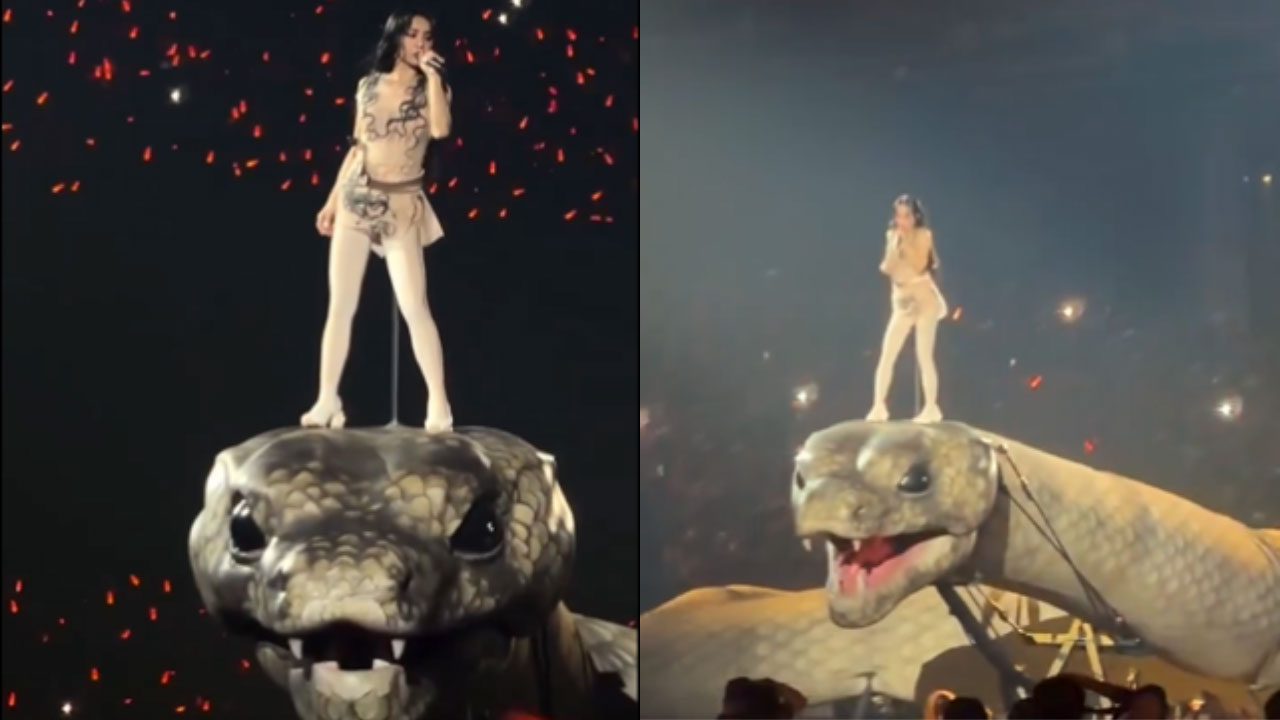Jolin Tsai Performance On Anaconda : అద్బుతం..అనకొండ పాముపై యువతి స్వారీ వైరల్