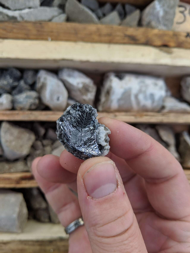 బంగారం కంటే విలువైన లోహం.. దీన్ని కొని మీ దగ్గర ఉంచుకుంటే..  మీరే కోటేశ్వరులు