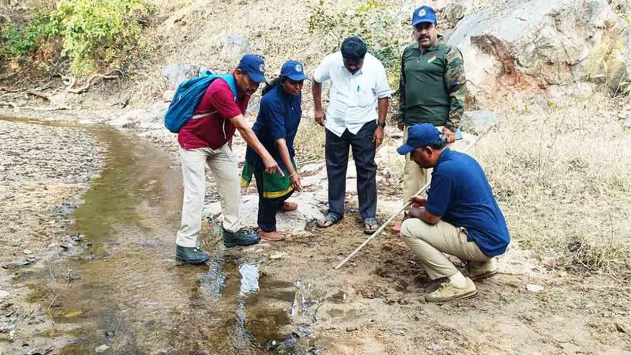 Tiger Census Telangana